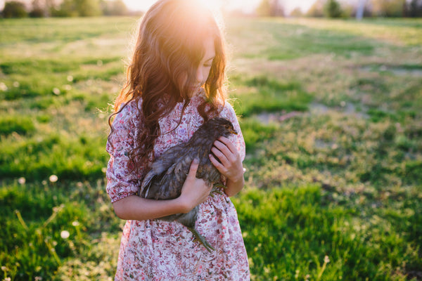 On The Farm